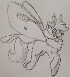 Size: 1854x2046 | Tagged: artist needed, safe, oc, oc only, oc:moon dust, mothpony, original species, luna moth, male, sketch, solo, traditional art