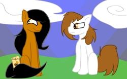 Size: 2912x1812 | Tagged: safe, artist:lessy652, oc, oc only, pony, blank flank