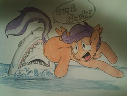 Size: 1024x768 | Tagged: artist needed, safe, scootaloo, pegasus, pony, shark, female, solo, traditional art