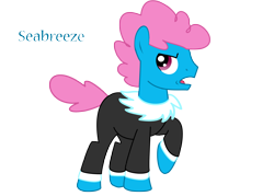 Size: 2520x1800 | Tagged: safe, artist:whitemistine, seabreeze, breezie, ponified, simple background, solo, transparent background, vector, wingless