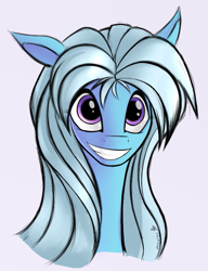 Size: 585x760 | Tagged: safe, artist:avristed, oc, oc only, oc:snowy skies, pony, bust, portrait, solo