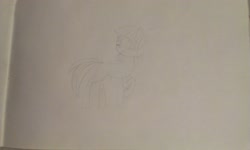 Size: 2592x1552 | Tagged: safe, artist:sil-forty, oc, oc only, butterfly, pegasus, pony, forgot wings, key fob, solo, sunlight breeze, wingless