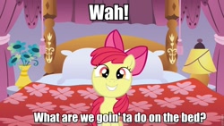 Size: 960x540 | Tagged: safe, apple bloom, earth pony, pony, adorabloom, bed, cute, filly, grin, image macro, looking at you, meme, pomf, smiling, solo, squee, waifu, what are we gonna do on the bed?