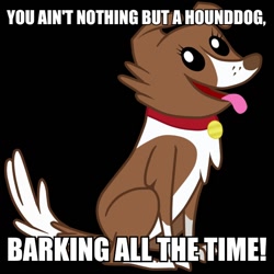 Size: 600x600 | Tagged: safe, winona, elvis presley, hound dog, image macro, meme, solo, song reference