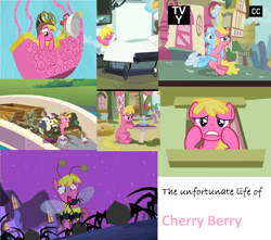 Size: 1700x1500 | Tagged: safe, edit, edited screencap, screencap, bon bon, cherry berry, linky, shoeshine, spike, sweetie drops, dragon, earth pony, pony, spider, luna eclipsed, putting your hoof down, the mysterious mare do well, too many pinkie pies, aviator hat, background pony, balloon, bee costume, cart, clothes, collage, compilation, female, hat, hot air balloon, mare, nightmare night, pink text, rubbish, surgery, trash, twinkling balloon