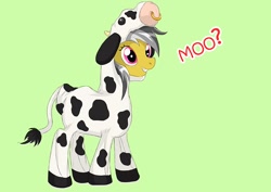 Size: 800x566 | Tagged: safe, artist:muramasa, daring do, cow, clothes, costume, daring moo, solo