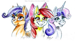 Size: 646x356 | Tagged: safe, artist:donika-schovina, apple bloom, scootaloo, sweetie belle, cutie mark crusaders, feather, traditional art