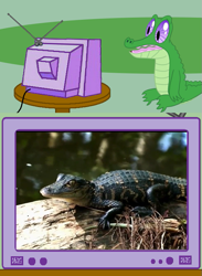 Size: 563x771 | Tagged: safe, gummy, alligator, pinkie pride, exploitable meme, irl gummy, live action, meme, tv meme