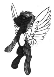 Size: 750x1065 | Tagged: safe, artist:php64, oc, oc only, pegasus, pony, monochrome, silhouette, solo, traditional art