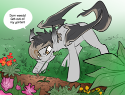 Size: 3099x2372 | Tagged: safe, artist:glacierclear, oc, oc only, oc:eventide blossom, bat pony, pony, colored wings, dorsal stripe, female, garden, gardening, golden eyes, multicolored hair, multicolored wings, speech bubble