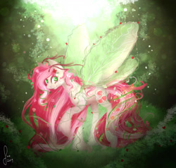 Size: 2100x2000 | Tagged: safe, artist:saoiirse, roseluck, fae, faerie, forest, rose, solo