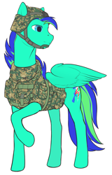 Size: 655x1024 | Tagged: safe, artist:arareroll, oc, oc only, oc:thunderstormbrony, army, my little pony, solo