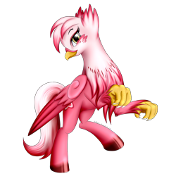 Size: 1700x1700 | Tagged: safe, artist:bludraconoid, derpibooru import, oc, oc only, oc:stargazer, classical hippogriff, griffon, hippogriff, simple background, solo, transparent background