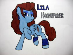 Size: 1024x768 | Tagged: safe, artist:patridam, derpibooru import, oc, oc only, oc:lila horsepower, 80s, blue, earring, horsepower, lab, leg warmers, ponified, ponysona, solo