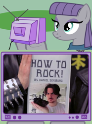 Size: 564x760 | Tagged: safe, derpibooru import, maud pie, attitude city, egoraptor, exploitable meme, meme, ninja sex party, obligatory pony, rock, tv meme