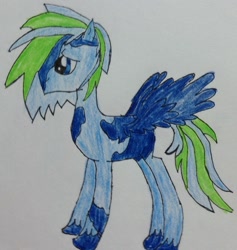 Size: 1274x1344 | Tagged: safe, artist:deltsdash, derpibooru import, oc, oc only, pegasus, pony, solo, traditional art