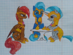 Size: 2048x1536 | Tagged: safe, artist:petunedrop, derpibooru import, oc, oc:rainstorm, oc:scrollpatch, oc:skylight, royal guard, traditional art