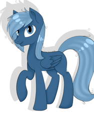 Size: 5000x6666 | Tagged: safe, artist:lace_felora, oc, oc only, pegasus, pony, absurd resolution, male, solo, stallion