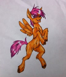 Size: 828x960 | Tagged: safe, artist:stepzzi, scootaloo, pegasus, pony, female, solo, traditional art