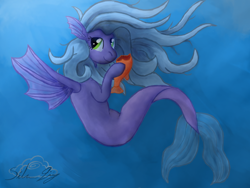 Size: 800x600 | Tagged: safe, artist:14silverlining, derpibooru import, oc, oc only, oc:mariana, merpony, solo, underwater