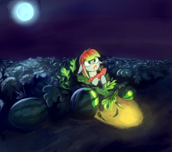 Size: 2614x2300 | Tagged: safe, artist:sokolas, derpibooru import, oc, oc only, oc:melon drop, caught, eating, farm, fruit, moon, night, solo, watermelon