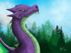 Size: 800x600 | Tagged: safe, artist:darthfishhum, spike, dragon, detailed background, male, solo