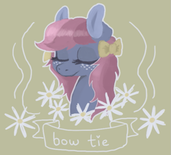 Size: 573x519 | Tagged: dead source, safe, artist:berrydrops, derpibooru import, bow tie (g1), earth pony, pony, g1, bow, bust, eyes closed, female, flower, mare, portrait, solo