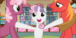 Size: 903x451 | Tagged: safe, derpibooru import, screencap, big macintosh, cheerilee, sweetie belle, earth pony, pony, hearts and hooves day (episode), hearts and hooves day, male, stallion