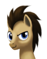 Size: 520x650 | Tagged: safe, artist:gennbu, derpibooru import, doctor whooves, earth pony, pony, brown coat, brown mane, male, solo, stallion