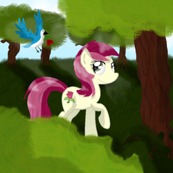 Size: 800x800 | Tagged: safe, artist:chanceyb, derpibooru import, roseluck, bird, forest, rose, solo