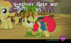 Size: 582x358 | Tagged: safe, screencap, apple bloom, noi, simple ways, image macro