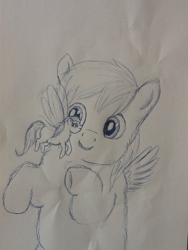 Size: 768x1024 | Tagged: safe, artist:waggytail, breezie, fluffy pony, fluffy breezie, sketch