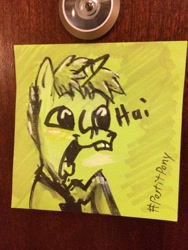 Size: 600x800 | Tagged: safe, artist:postitpony, derpibooru import, pony, bronycon, hi, mane