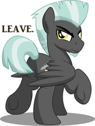 Size: 500x666 | Tagged: safe, artist:drawponies, artist:gray-gold, derpibooru import, thunderlane, pegasus, pony, glare, looking at you, looking back, male, plot, simple background, solo, stallion, transparent background, underhoof, wrong neighborhood