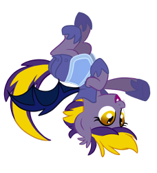 Size: 850x930 | Tagged: safe, artist:nanook123, derpibooru import, oc, oc only, oc:blazing star, bat pony, pony, bronycon, bronycon mascots, flying, solo, upside down