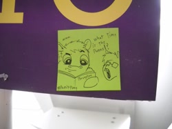 Size: 1095x821 | Tagged: safe, artist:postitpony, derpibooru import, 2014, annoyed, bronycon, glasses, irl, photo, question