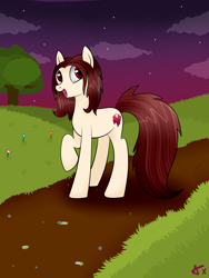 Size: 5000x6666 | Tagged: safe, artist:axioma_dice, oc, oc only, pony, absurd resolution, field, road, sky, solo