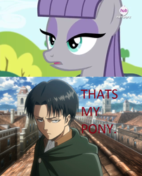 Size: 640x791 | Tagged: safe, edit, edited screencap, screencap, maud pie, maud pie (episode), attack on titan, caption, levi ackerman, meme, that's my x