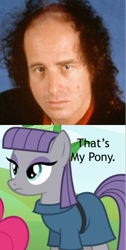 Size: 256x508 | Tagged: safe, maud pie, maud pie (episode), comparison, meme, steven wright, that's my pony, that's my x