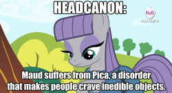 Size: 1366x737 | Tagged: safe, edit, edited screencap, screencap, maud pie, maud pie (episode), caption, headcanon, hub logo, pica, solo