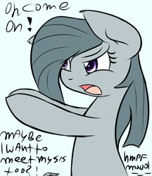 Size: 1957x2262 | Tagged: safe, artist:freefraq, marble pie, pony, mane, solo