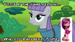 Size: 576x324 | Tagged: safe, maud pie, maud pie (episode), exploitable meme, ingrid nilson, meme, raspberry torte, same voice actor, strawberry shortcake, voice actor