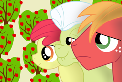 Size: 900x605 | Tagged: safe, artist:bonaldo-kun, derpibooru import, apple bloom, big macintosh, granny smith, earth pony, pony, male, stallion