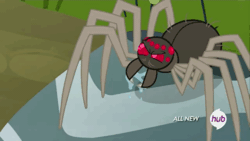 Size: 576x324 | Tagged: safe, screencap, spider, maud pie (episode), animated, drool, fuzzy legs, glare, hub logo, hubble, loop, raised eyebrow, solo, the hub