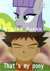 Size: 2480x3508 | Tagged: safe, maud pie, maud pie (episode), brock, meme, pokémon, that's my pony, that's my x