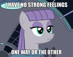 Size: 935x720 | Tagged: safe, artist:atanarix, maud pie, pony, maud pie (episode), futurama, image macro, meme, neutral planet ambassador, parody, ponified, solo