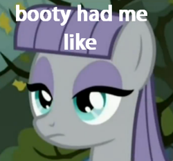 Size: 303x282 | Tagged: safe, edit, edited screencap, screencap, maud pie, maud pie (episode), caption, image macro, meme, reaction image, solo