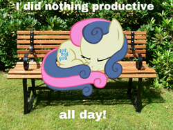 Size: 1200x900 | Tagged: safe, bon bon, sweetie drops, bench, eyes closed, i have done nothing productive all day, image macro, irl, meme, photo, ponies in real life, prone, sleeping, smiling, solo