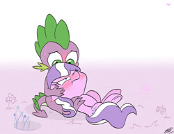 Size: 1024x791 | Tagged: safe, artist:loreto-arts, diamond tiara, spike, dragon, earth pony, pony, blushing, crack shipping, ear blush, female, floppy ears, flower, gradient background, jewelry, looking at each other, looking down, male, on back, shipping, spiketiara, straight, sweat, tiara, tsundere, underhoof