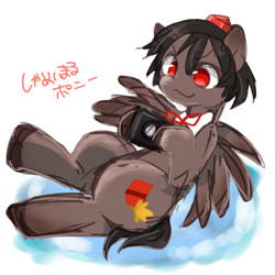 Size: 500x500 | Tagged: safe, artist:c-minded, derpibooru import, pegasus, pony, pixiv, ponified, shameimaru aya, solo, tengu, touhou